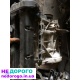Двигун Ford Fiesta 8A6G 1.6 бензин 2012 року.