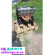 Двигун Opel 1.4 C14NZ для Astra/Kadett, 1991, бензин, 1.4 л.