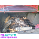 Мотор Opel Omega A 2.3 дизель, 1994 р.в., об'єм двигуна 2.3 л, паливо - дизель.