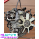 Мотор Двигун YD22 YD25 D40 2.5 Nissan Navara Panfinder Murano, 2005-2020, 2.5 л, дизель.