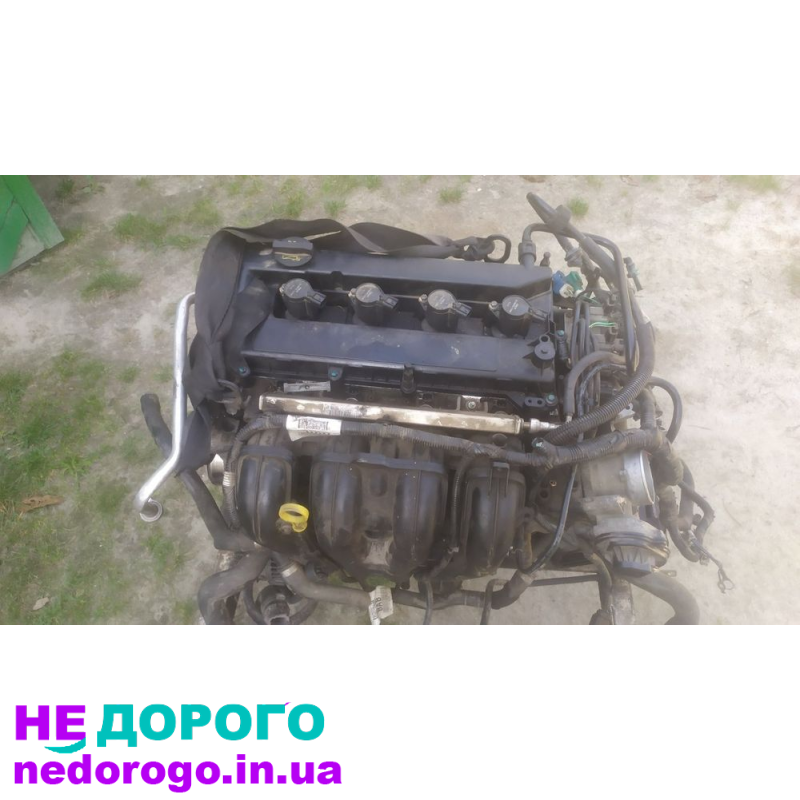 Двигун 1.8 бензин QQDB для Volvo Ford Focus C-Max. 2008 рік випуску.