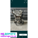 Двигун Kia Sorento 2.5 D4CD, Hyundai H-1, H-200, 2005-2015, 2.5 л, дизель.