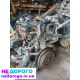 Мотор Volkswagen Golf 2-3 Passat b-3-4 T4 1.9 D, дизель, 1990-2003 рр., 1.9 л.