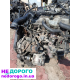 Двигун Ford Connect 1.8 Delphi Siemens Transit, українською: Назва агрегату - Мотор, модель - Форд Коннект, рік випуску - не вказано, об'єм двигуна - 1.8, паливо - бензин.