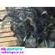Мотор Mitsubishi 4N14 2.2d для Outlander 3 XL, 2012 р.в., дизель, об'єм 2.2 л.