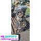 Двигун Audi ADP 1.6 2001 бензин, AHL 2.8 2003 дизель, AAH 1.8 1997 бензин, ADR 2.0 2005 бензин.