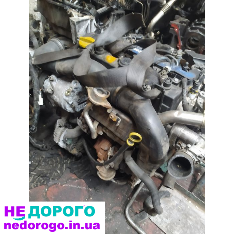 Мотор Opel Zafira 1.7 Denso, 2008, 1.7 л дизель.