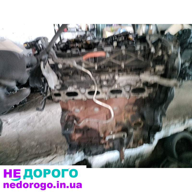 Мотор Двигун Ford Mondeo Kuga 2.0 TDCi Euro 5 D4204T, 2012, 2.0 л, дизель.