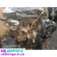 Мотор Двигун Ford Transit 2,4 TDDI, 2005 рік, дизель, 2,4 л.