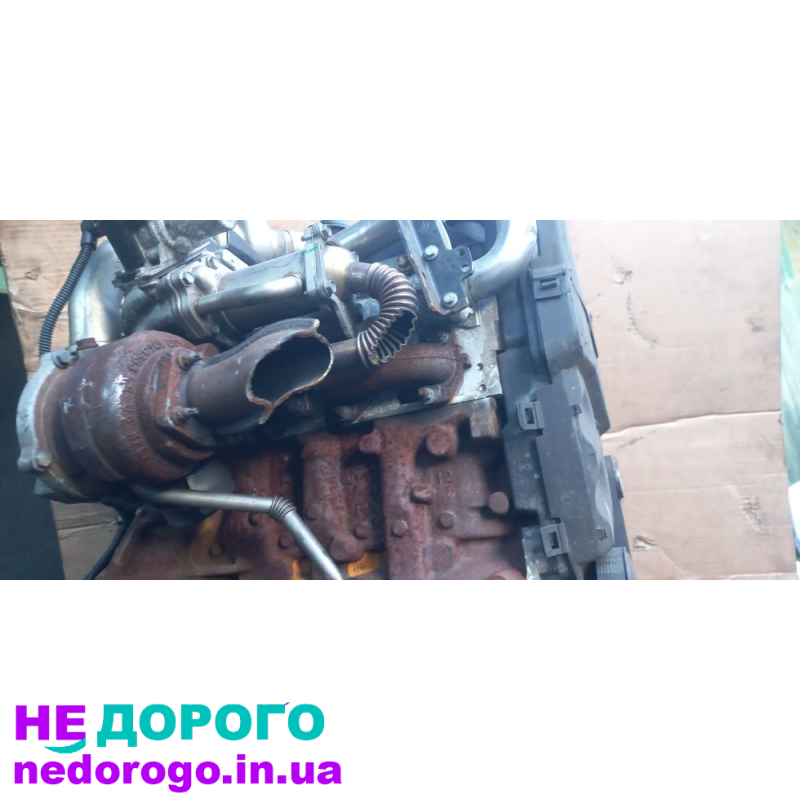 Двигун Renault-Nissan K9K M732 1.5 dci, 2015 рік, дизель, об'єм 1.5 л.