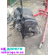 Двигун Opel Astra H Zafira A Corsa C Vectra B 1.8 Z18XE, бензин, 2004 рік, 1.8 л.