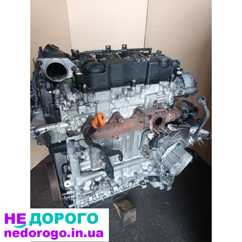 Мотор Peugeot 1.6 HDI 10JB61 9HZ, Партнер Берлінго, 2009, 1.6 л, дизель.