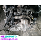 Двигун Peugeot Citroen Ford Volvo 1.6 HDI 8V 9H06 10JBEM, 2006, 1.6 л, дизель.