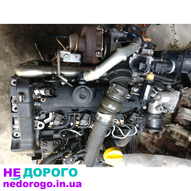Мотор Двигун Renault K9K 1.5 636 836 837 5 Delphi Siemens Bosch Україна.