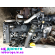 Мотор Двигун Renault K9K 1.5 636 836 837 5 Delphi Siemens Bosch Україна.