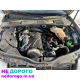 Двигун Skoda Superb 1.9 TDI AWX, 2003, 1.9 л, дизель. Volkswagen Passat 1.9 TDI AWX, 2003, 1.9 л, дизель.