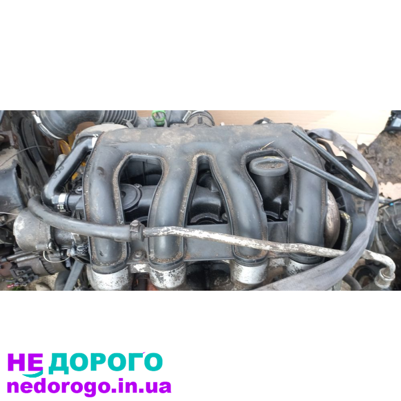 Двигун DW8, Peugeot Partner/Expert, Citroen Berlingo/Jumpy, 1996-2008, 1.9 л, дизель.