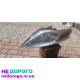 Двигун Ford Mondeo 2.0 2014 2.0 л бензин