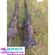 Двигун Ford Scorpio Sierra DONS, 1990, 2.0 л, бензин.