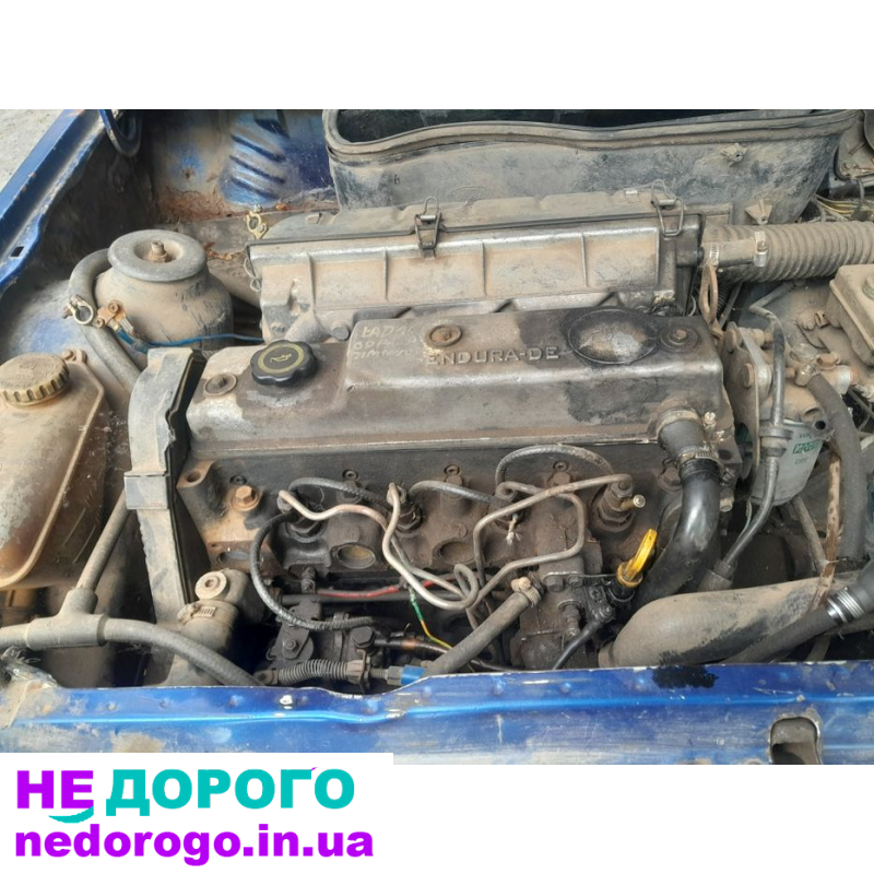 Двигун Ford Escort 1.8 дизель, 1999, об'єм 1.8 л, паливо - дизель.