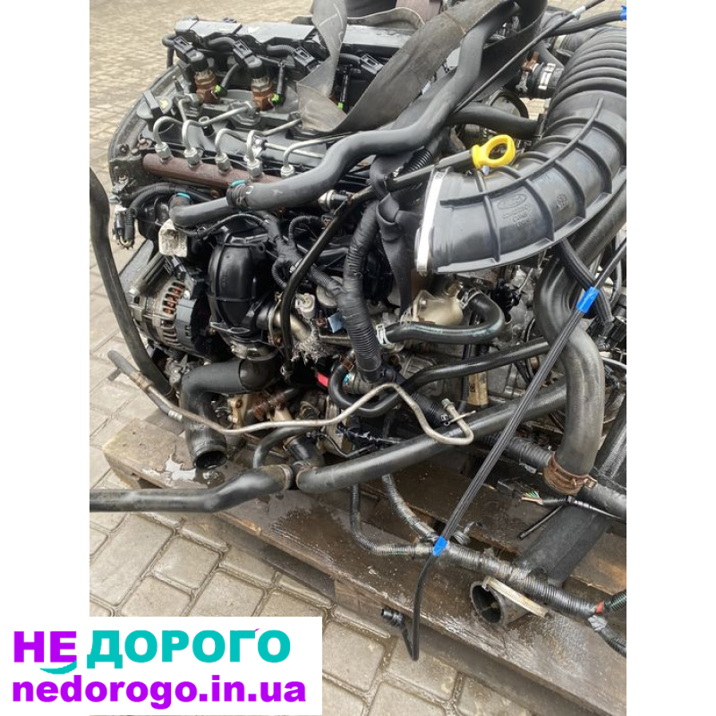 Двигун Ford Transit 2.2 tdci Siemens, 2014 рік, об'єм 2.2 л, дизель.