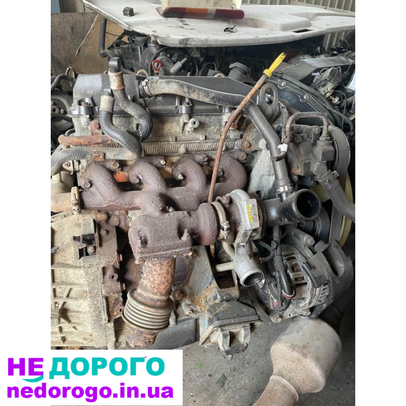 Двигун Ford Transit 2.4 (00-06) 2.4 Б/У в хорошому стані.
