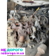 Двигун Ford Transit 2.4 (00-06) 2.4 Б/У в хорошому стані.