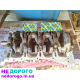 Двигун Hyundai Santa Fe G4KJ, 2012 р.в., 2.4 л, бензин.
