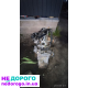 Мотори для Citroen BX 16 TRS, BX19 та Peugeot 309: 1.4/1.6/1.9 бензин, різні роки випуску.