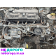 Двигун Mazda RF, 2.0 дизель, 2019 рік, об'єм 1998 см³.
