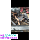 Двигун Mercedes 811 4.0, 1998 рік, дизель, об'єм 4.0 л.