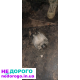 Двигун Mercedes A170 w168 2001, 1.7 бензин.