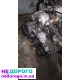 Двигун BMW M50B25, 1991 рік, 2.5 л, бензин.