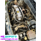 Двигун Opel Astra Z16XEP 2005 1.6 бензин. Головка блоку циліндрів, колінвал, поршні, масляний насос, ремені, фільтри, свічки, ролики, насос води, термостат, генератор, стартер, турбіна, впускна труба, вихлопна система.