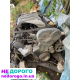 Двигун Opel Vectra B 1.6 бензин 1995 рік