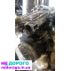 Двигун Opel Vectra 1.9, 2005, дизель, 1.9 л.