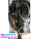 Двигун Opel Vectra 1.9, 2005, дизель, 1.9 л.