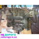 Двигун Peugeot J5 2.5D з навісним Пежо Ж5, 1994 р.в., об'єм 2.5 л, дизельне паливо.