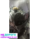 Мотор Renault K9K8796RLL2242, Duster, Laguna 2011-2021р., 1.5л дизель.