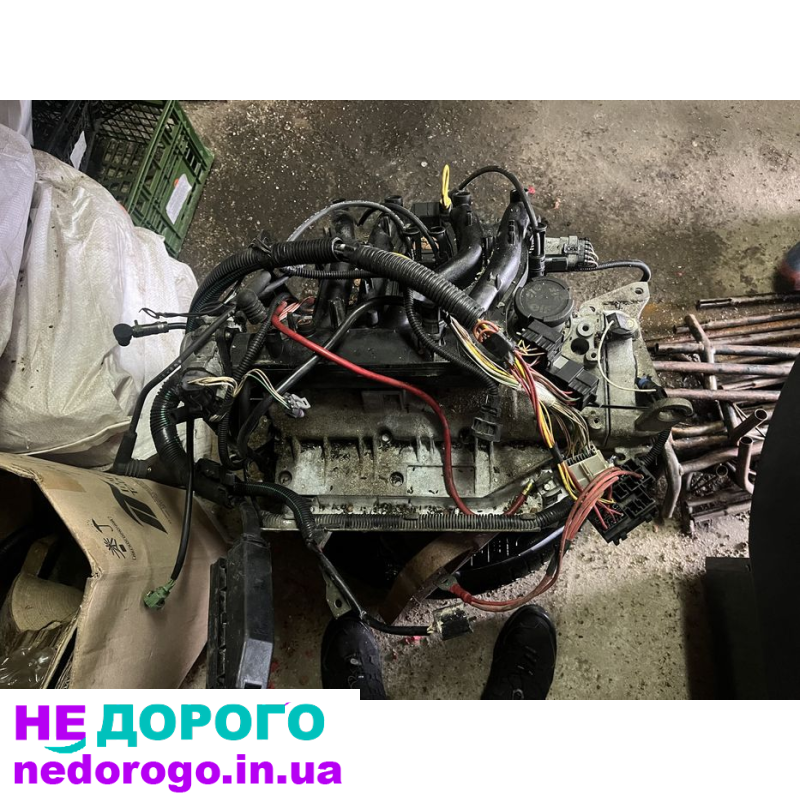 Двигун Renault Kengoo 1.2, 2018 рік, 1.2 л, бензин, з блоками, українська мова, Мерчант Гугл.