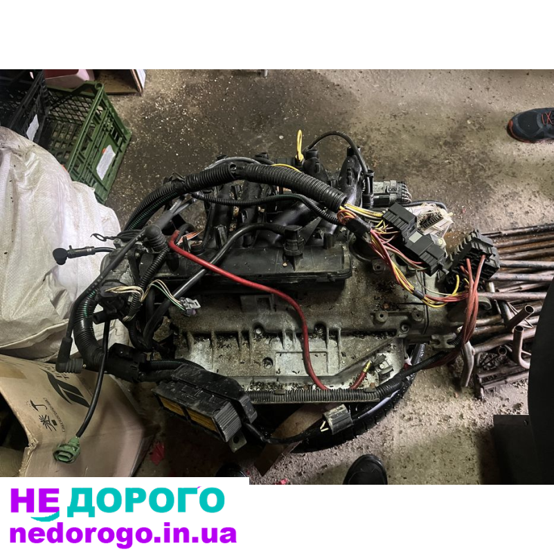 Двигун Renault Kengoo 1.2, 2018 рік, 1.2 л, бензин, з блоками, українська мова, Мерчант Гугл.
