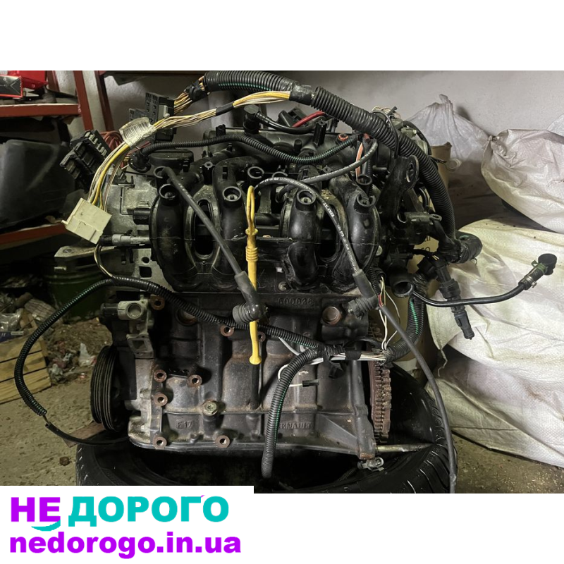 Двигун Renault Kengoo 1.2, 2018 рік, 1.2 л, бензин, з блоками, українська мова, Мерчант Гугл.