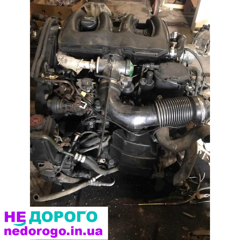 Двигун Peugeot Partner Berlingo 1,9Д DV8, 2005, 1,9 л дизель. Citroen Berlingo 1,9Д DV8, 2006, 1,9 л дизель. Fiat Scudo 1,9Д DV8, 2007, 1,9 л дизель.