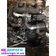 Двигун Peugeot Partner Berlingo 1,9Д DV8, 2005, 1,9 л дизель. Citroen Berlingo 1,9Д DV8, 2006, 1,9 л дизель. Fiat Scudo 1,9Д DV8, 2007, 1,9 л дизель.