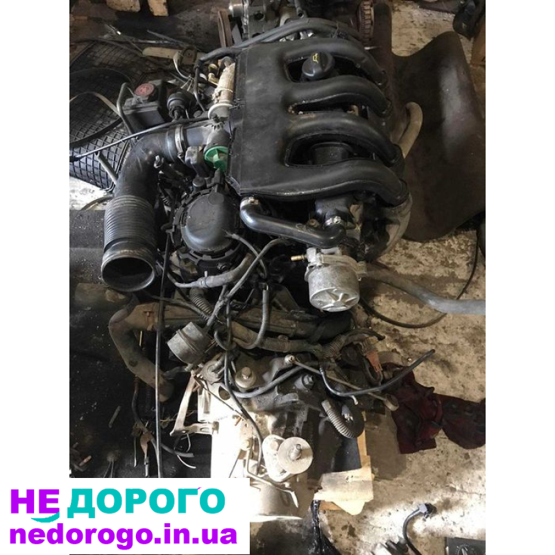 Двигун Peugeot Partner Berlingo 1,9Д DV8, 2005, 1,9 л дизель. Citroen Berlingo 1,9Д DV8, 2006, 1,9 л дизель. Fiat Scudo 1,9Д DV8, 2007, 1,9 л дизель.