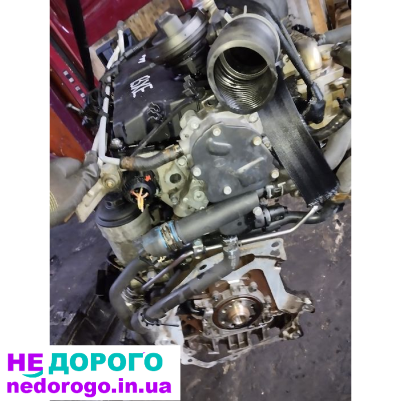 Двигун Volkswagen BKC 1.9 TDI 77 кВт 105 л.с. 2005 р.в. Дизель 1.9 л.