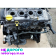 Мотор Opel Z1.7 DTH, 2003-2014, 1.7 л дизель Denso. Встановлюється на Meriva A, Zafira B, Astra H, Combo 1.7 TDCI.