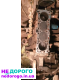 Двигун Nissan Bluebird 2.0 дизель, КПП 5, полуосі 1.8 бензин, випущений в Україні.