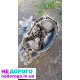 Агрегат Opel Astra F 1.6 F13 1991 1.6 л бензин.