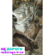 Opel 1.8 c18nz двигун під розбір, українською, модель Opel, рік випуску 1.8, об'єм двигуна 1.8 літра, паливо бензин.
